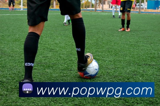 pg电子服务体系